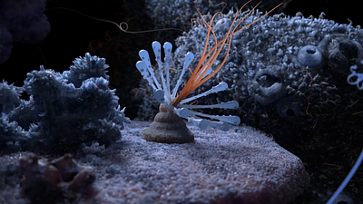 Life 3d 3d art 3d artist 3d artwork 3d motion 3d render 3danimation c4d cinema 4d motion design ocean creatures octane render underwater