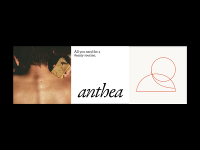 Anthea Branding Exploration 02 art direction branding creative design graphic design illustration layout logo ui