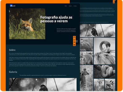 Photographer Portfolio - Web Design