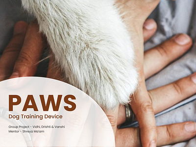 Paws - Dog training Device product design research ui ux