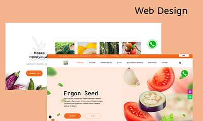 Web Design for Base Agro figma ui user experience ux ux research web design