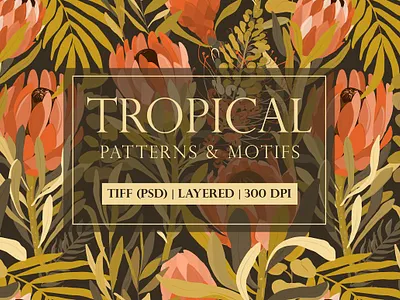 Tropical story. Patterns collection. app branding design graphic design illustration logo typography ui ux vector