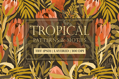 Tropical story. Patterns collection. app branding design graphic design illustration logo typography ui ux vector