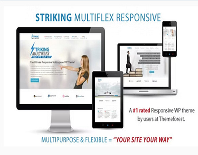 Striking - MultiFlex & Ecommerce Responsive WP Theme woocommerce theme