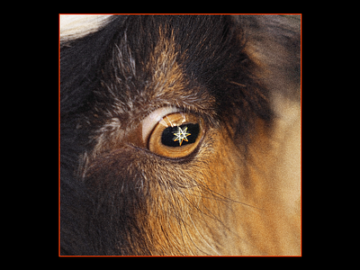 LecherGaze blackphillip eye goat grain harry vincent heptagram iris letterbox eye