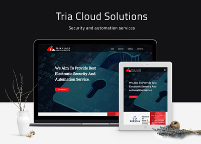 Tria Cloud Solutions mobile design ui ux design webdesign