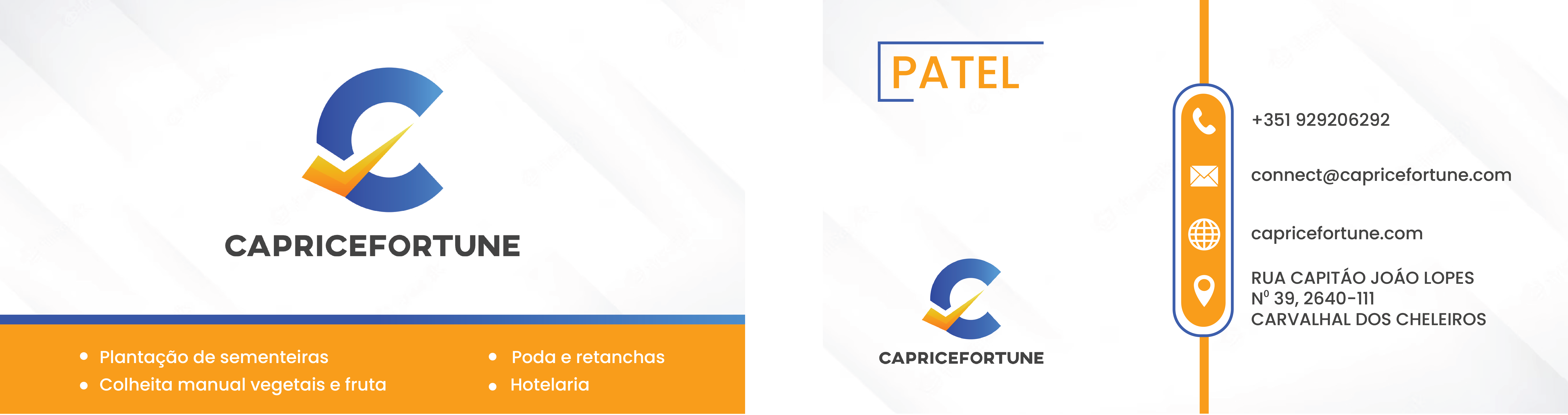 VISITING CARD branding graphic design logo