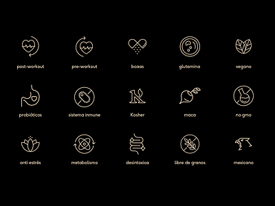 Icons for Quenut art direction brand branding contrast custom fine line graphic design icons identity simple supplements vector