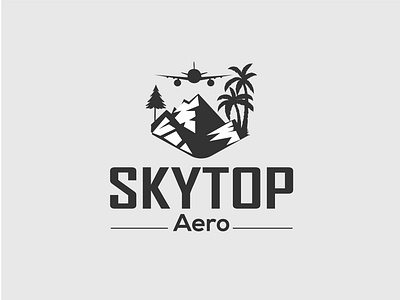 SKYTOP Aero Logo Design branding business logo custom logo graphic design logo logo design