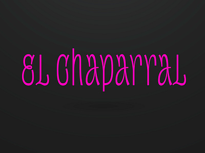 El Chaparral. The bridge of hope. design font graphic design lettering letters logo type typeface typography
