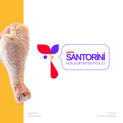 Pollo Santorimi branding graphic design logo