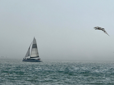 Sailing in the Haze beach ocean sailboat