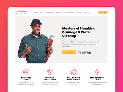 Project for a Plumber website hero section home page ui ux web web design