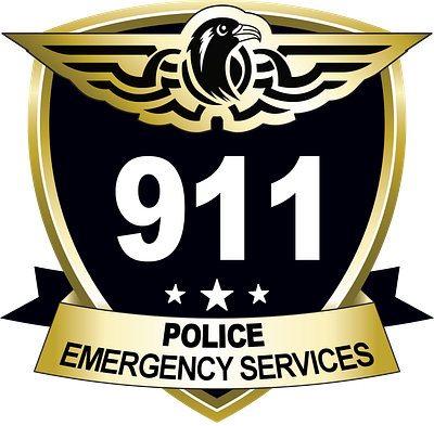 Logo design for State Police Department branding graphic design logo