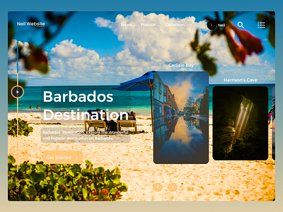 Barbados Web Design app appdesign branding design illustration logo ui uidesign ux uxdesign