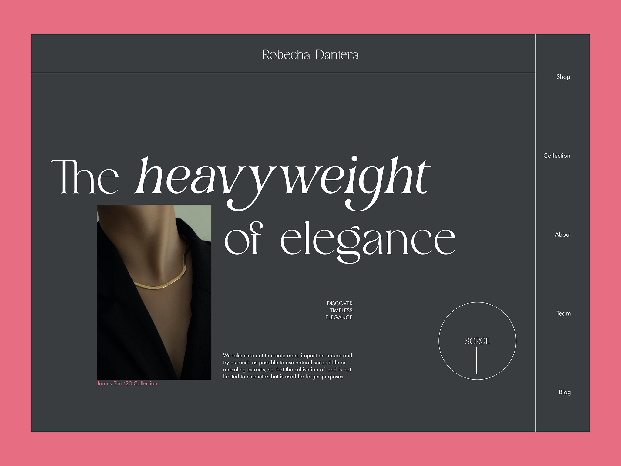 Robecha Daniera ecommerce by Rafael Alfonso Mora on Dribbble