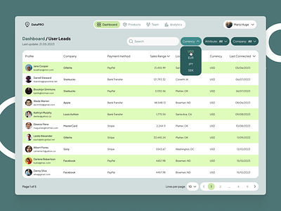 DataPro CRM (Table) application crm design filter filters table ui ux web