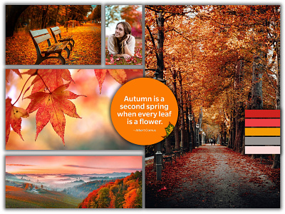 Autumn Theme Mood board anuj autumn autumn mood autumn mood board board designing graphic design mood board photoshop