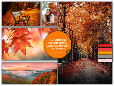 Autumn Mood Board designs, themes, templates and downloadable graphic ...