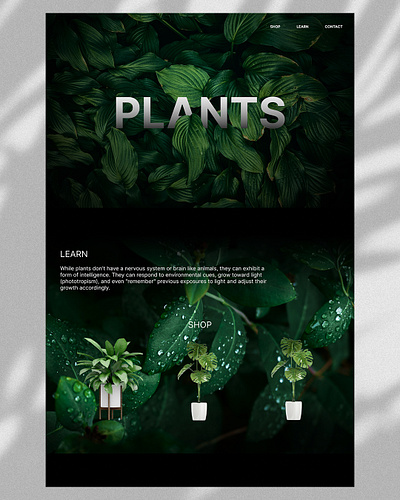 Plants Website U.I Design 3d app branding design graphic design illustration logo ui ux website