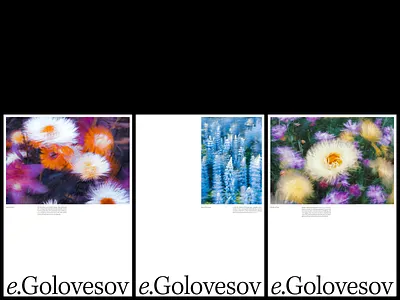 Flower posters design graphic design melbourne minimal poster print typography