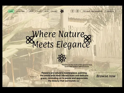 Flower web design app design graphic design mobile app ui uiux