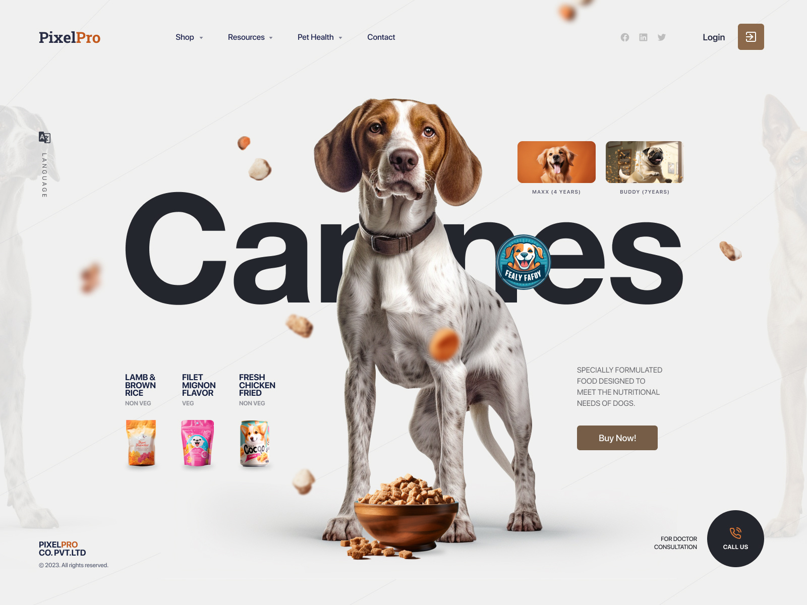 Dog Food site by Dipanjan Karmakar on Dribbble