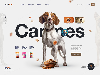 Dog Food Website banner branding canines doctor dog food food graphic design pet ui veterinary website