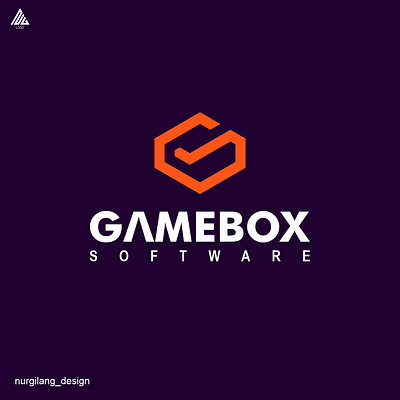 GAMEBOX SOFTWARE app branding design graphic design illustration logo typography ui ux vector