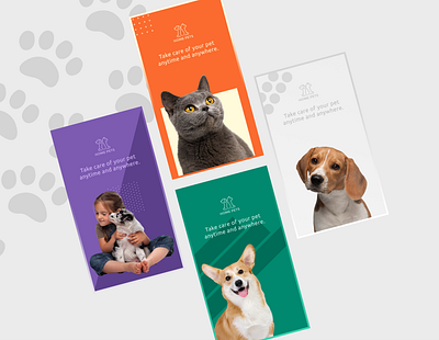 Home pets banners animal banner branding graphic design