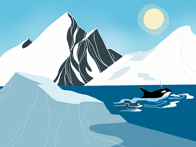 Cold Escape antartica killer whale mountains nature ocean snow