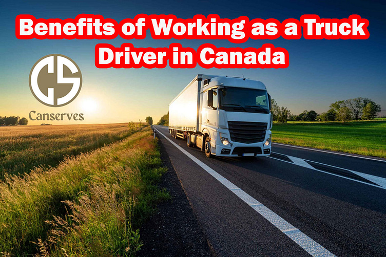 canada-s-trucking-and-logistics-industry-faces-critical-labour-shortage