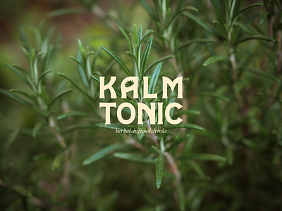Kalm Tonic brand strategy braning design graphic design logo mockup packaging design