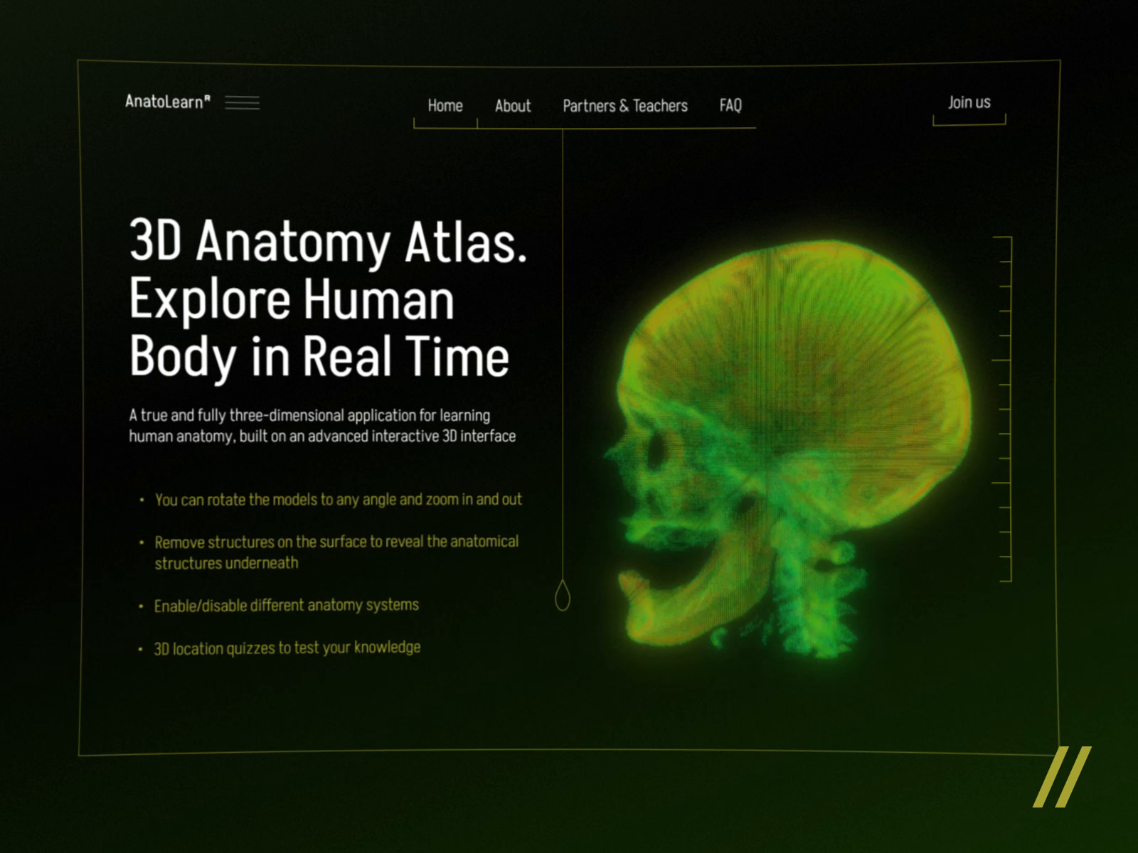 Example of Dedicated Team 1 Month