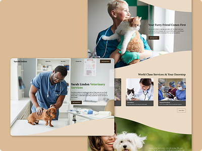 Sarah Lindon's Vet Clinic animal care animals cat dog landing page pet care pets vet veterinary web design