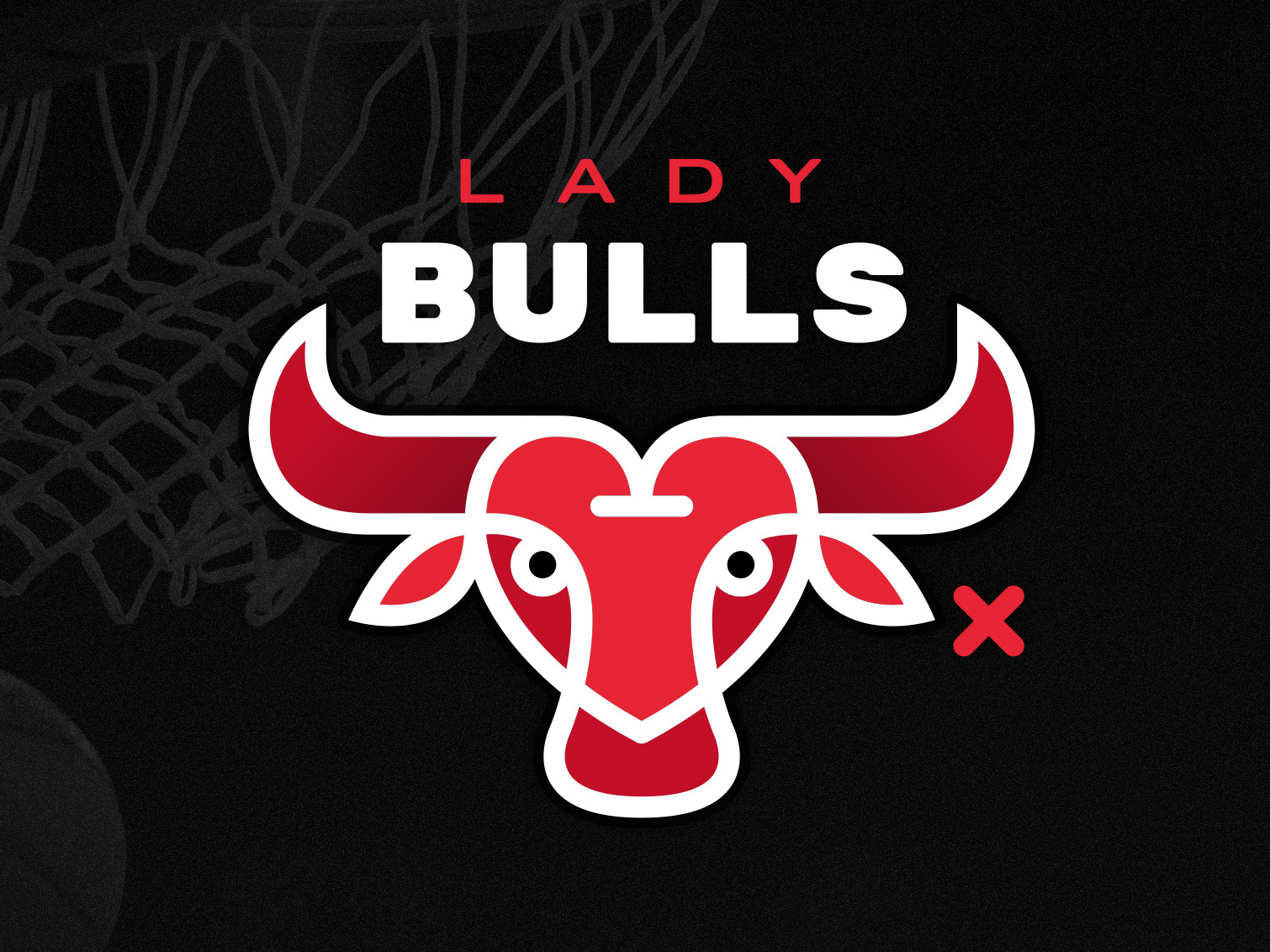 chicago bulls logo windy city