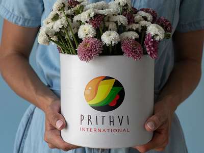Prithvi International animation branding graphic design logo motion graphics ui