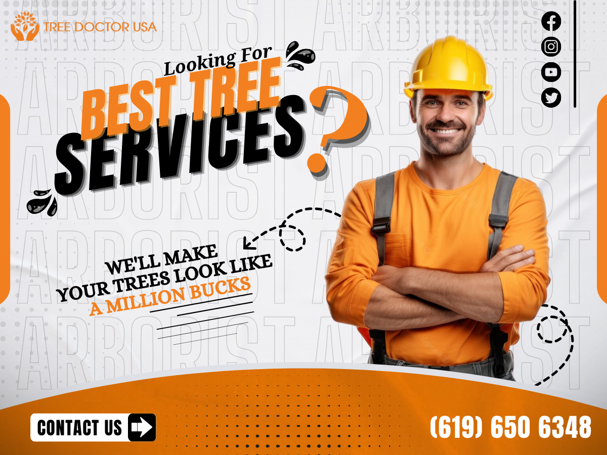 Comprehensive Tree Healthcare Services by Tree Doctor USA by Tree