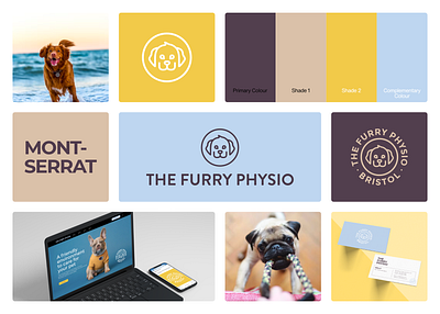 The Furry Physio | visual board brand branding design graphic design icon illustration logo style vector