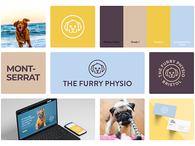 The Furry Physio | visual board brand branding design graphic design icon illustration logo style vector