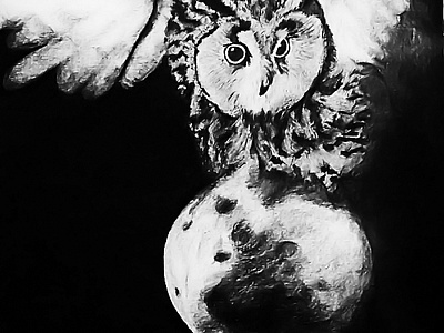 buho animl art artist draw illustration nature owl pencil