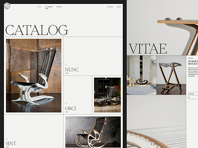 Store Issue 003 design e commerce minimal web design