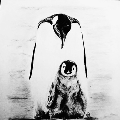 nature art artist draw illustration pencil penguin