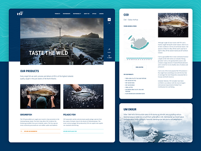 VSV blue fish fishery iceland navigation teal ui