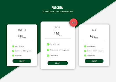Daily Challenge | Day 4 | Pricing page design graphic design pricing pricing page ui uiux user interface ux uxui web web design