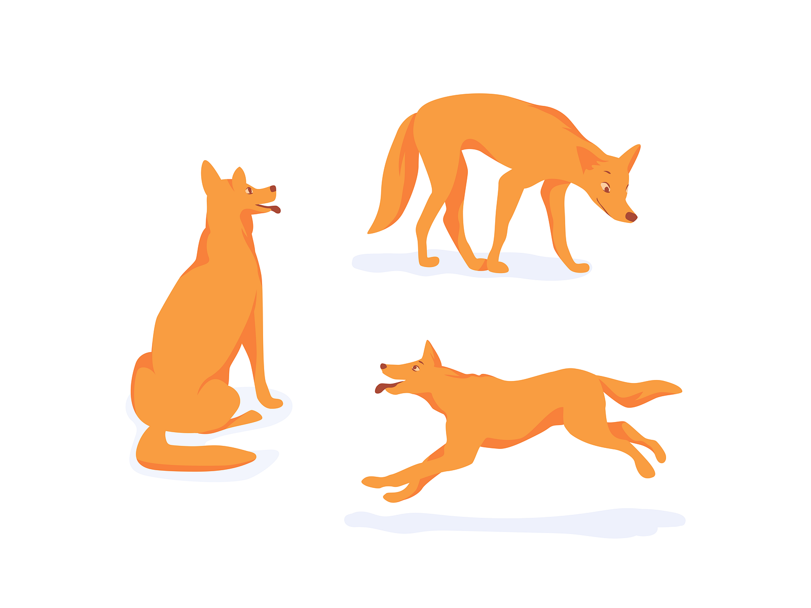 Dingo - Mascot by Tereza Pechouskova on Dribbble