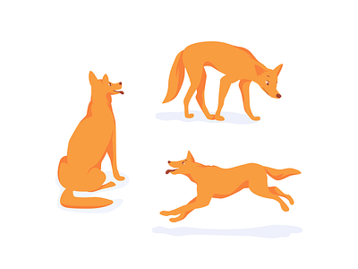 Dingo - Mascot adobe character design character illustration design figma illustration mascot vector
