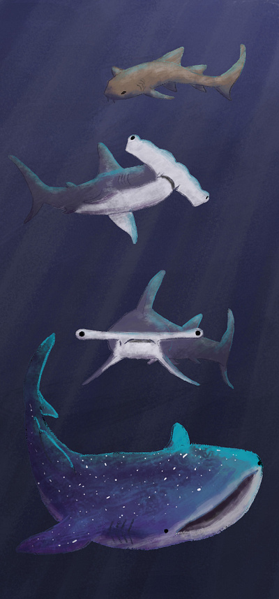 Sharks Bookmark bookmark design hammerhead shark illustration nurse shark sharks whale shark