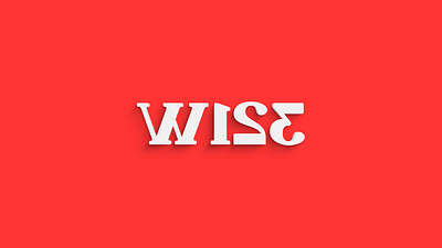 WISE Logo Design branding design logo