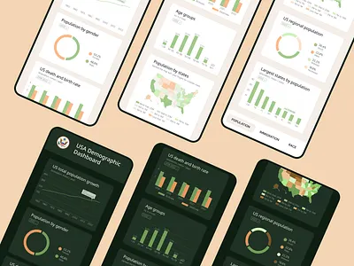 USA Demographic Dashboard dashboard design figma shot ui ux web design